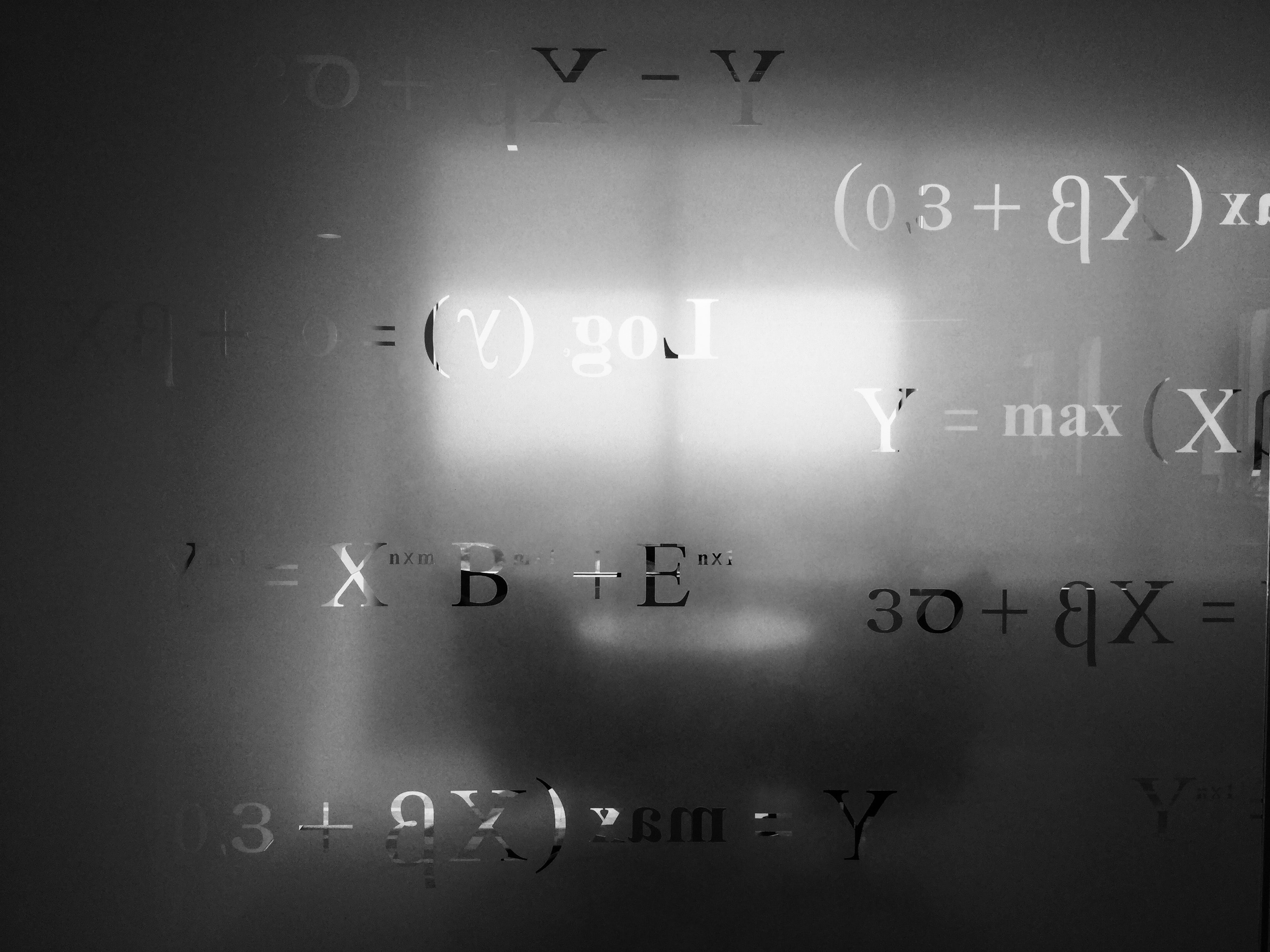 Bachelor Thesis: Nonparametric Regression Using Deep Neural Networks